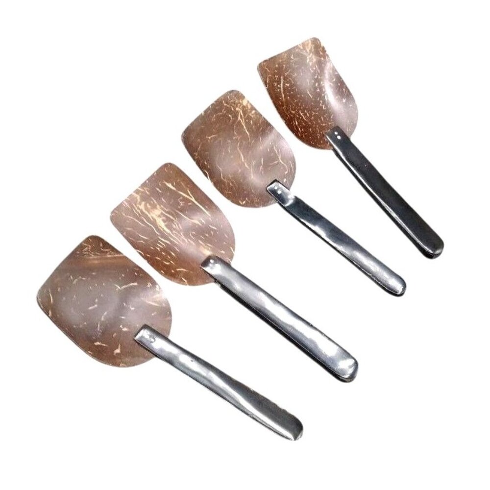Rare Vintage Handcrafted Coconut Shell Spoon Set With Horn Handles